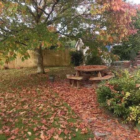 Twin Oaks Bed & Breakfast-3